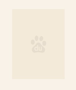 ȫ�һ�����99�Σ��Ҷ������Ƿ���