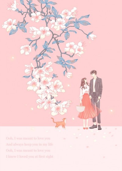 ���ڽ�������ʳ��������½��İ